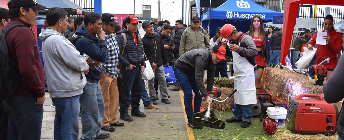 Expo Edipesa
