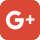 google icon