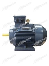 MARATHON Motor Eléctrico 1.5HP(1.12Kw)1800 RPM E21P1280XB1TCF10NCC Trifásico 220/380/440V IP55 IE2