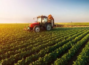 agroindustria-banner